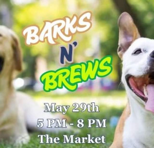 Barks N' Brews