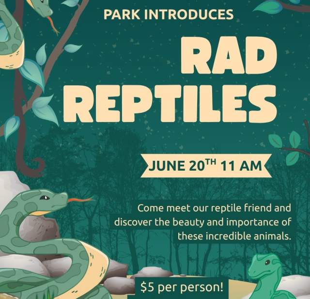Rad Reptiles