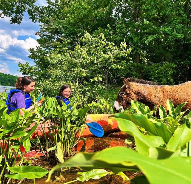 Columbia County Stallings Island Kayak Tour