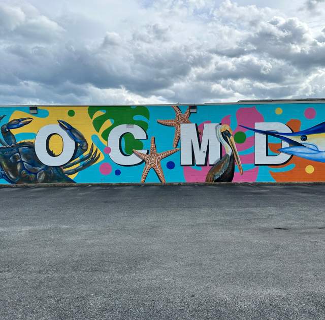 Vibrant Backdrops Around Ocean City, MD for Your Next Selfie