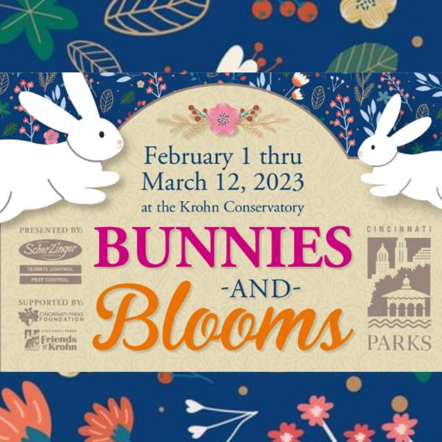 Bunnies and Blooms