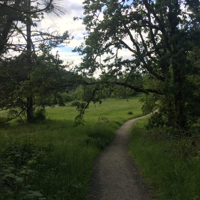 Ridgeline Trail