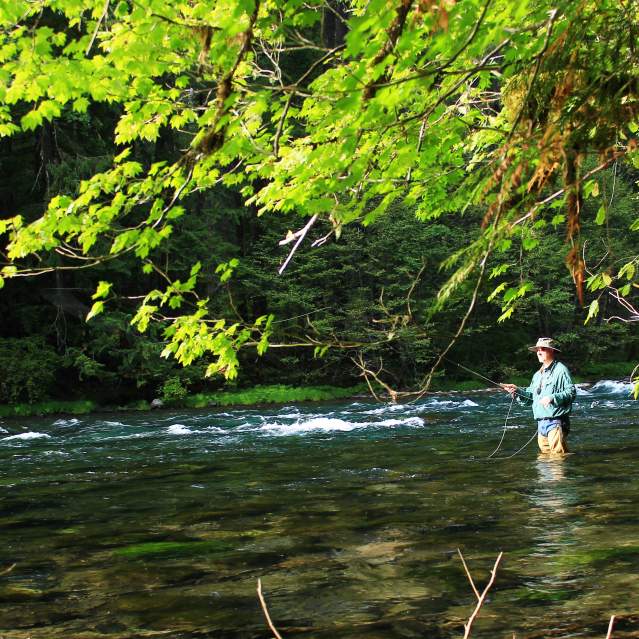 Top 3 Kids' Fishing Spots Eugene, Cascades & Oregon Coast