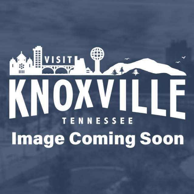 Knoxville through a lens…
