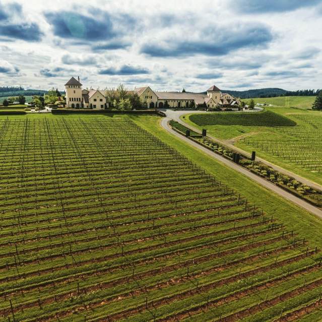 Oregon's Wine Story