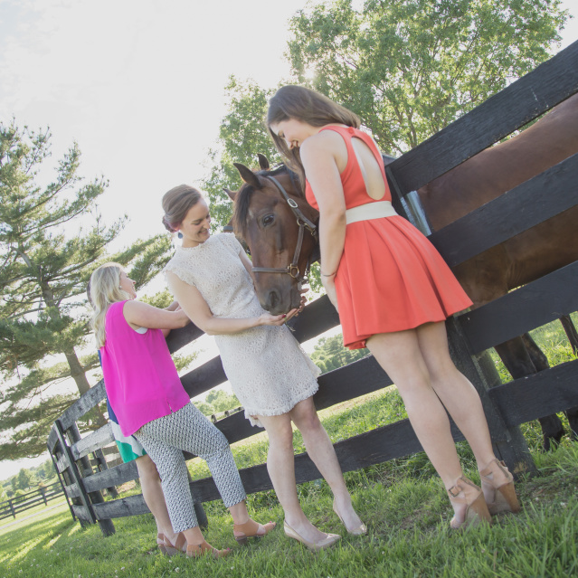 Kismet Farm