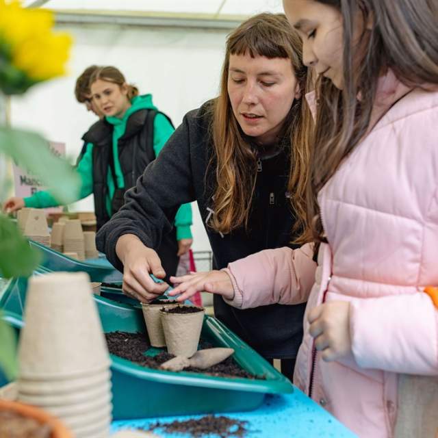 Free Family Gardening Workshops With Plant Co-operative CIC