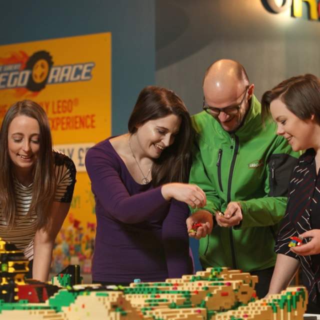 Adult LEGO Night