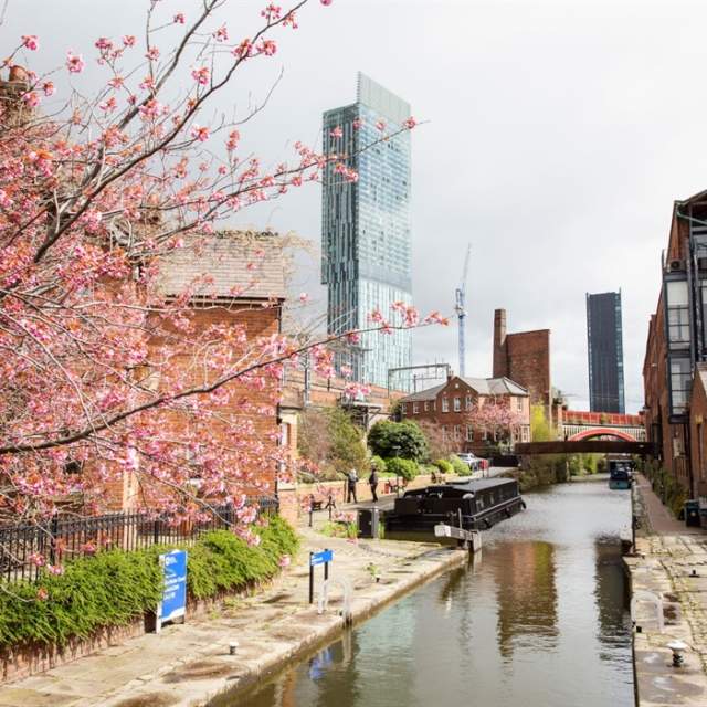 Blossom and Bloomtown in Greater Manchester