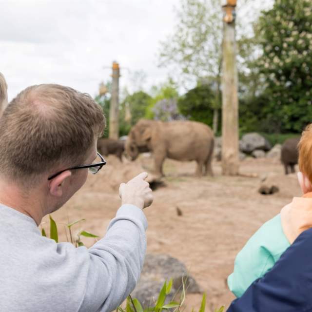 Chester Zoo