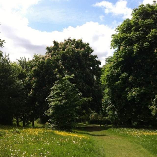 Chorlton Park