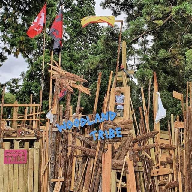 Great Woodland Adventure at RHS Garden Bridgewater
