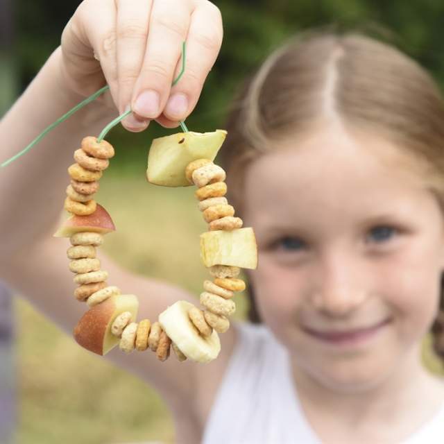 Manchester Festival of Nature