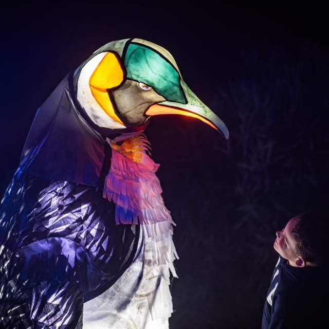 Lanterns and Light at Chester Zoo