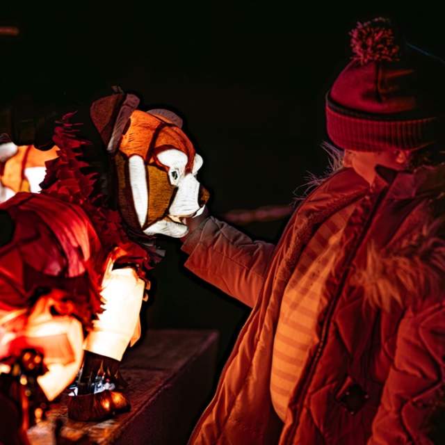 Lanterns and Light at Chester Zoo 2026