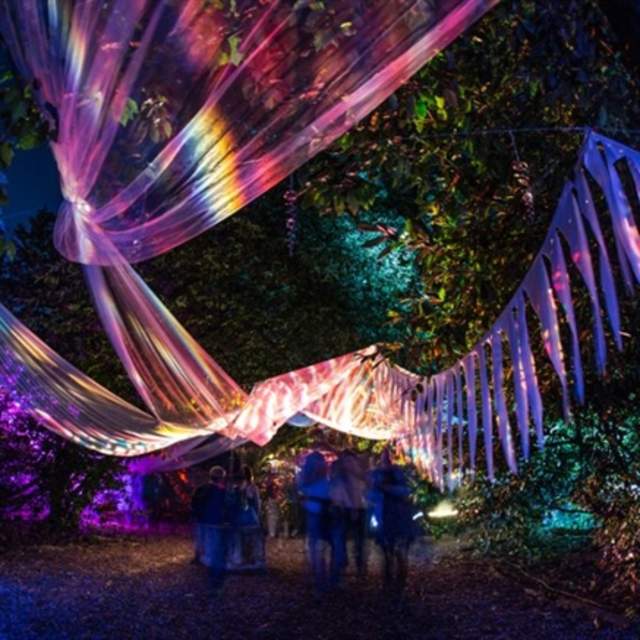 Magical Woodland at Christmas