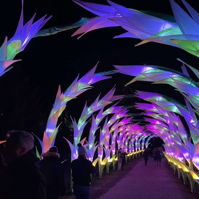 Northern Lights Manchester