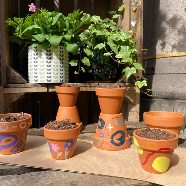 Paint 'n' Plant