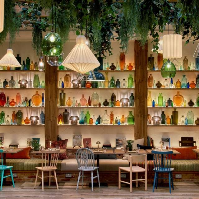 Pip, Treehouse Manchester