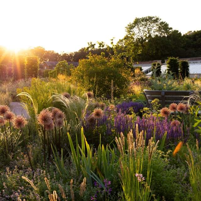 Horti-CULTURED: an evening of sustainable fashion at RHS Garden Bridgewater