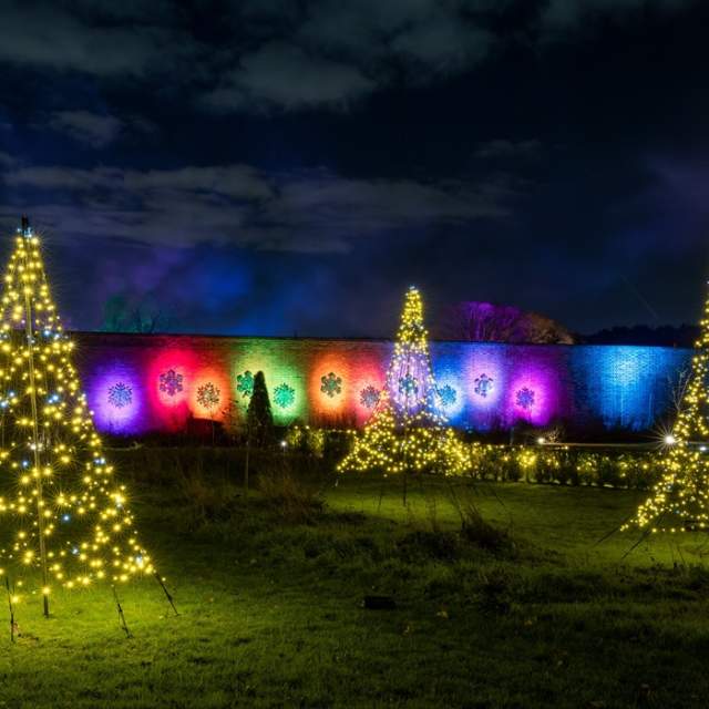 RHS Glow