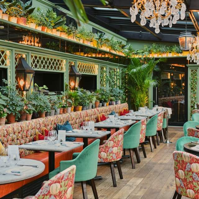 Celebrate your Graduation at The Ivy
