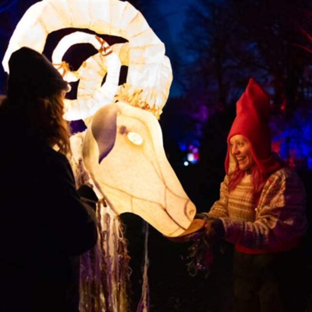 Yuletide: A Glittering Winter Garden Adventure