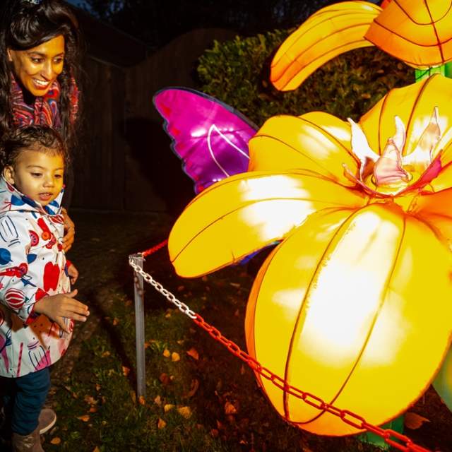 Land of Lights Lantern Festival