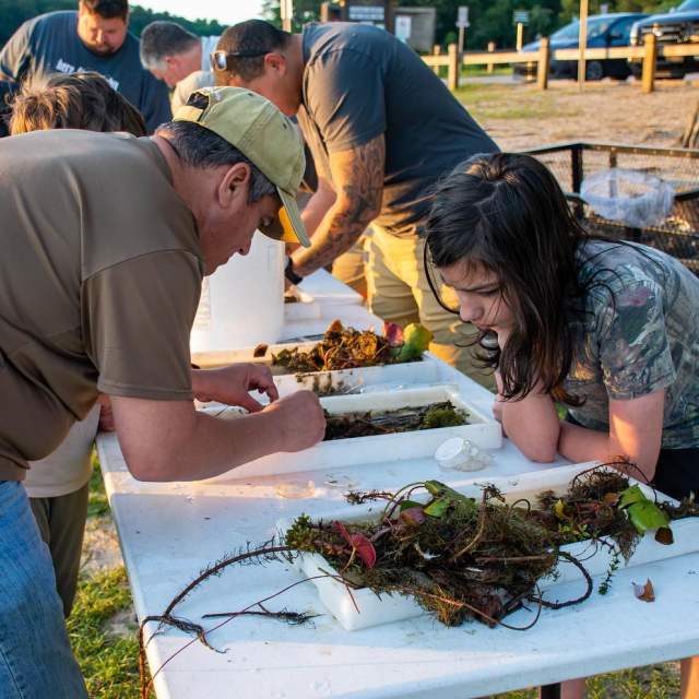 Entomology for Anglers