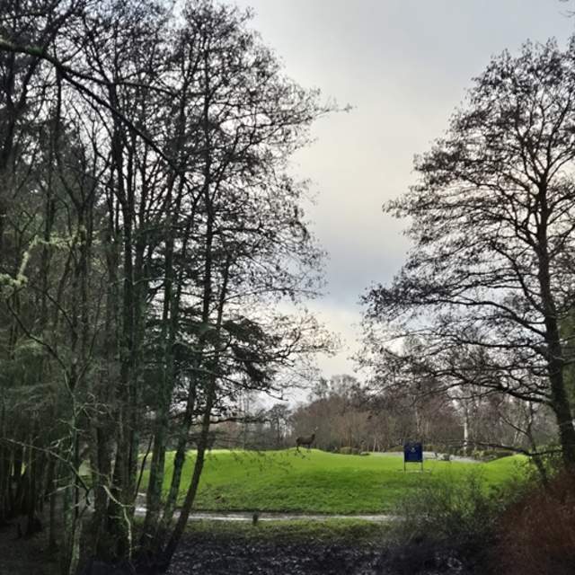Ross Golf Course