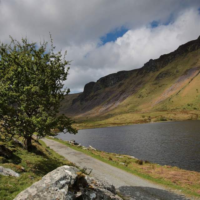 Kerry Camino
