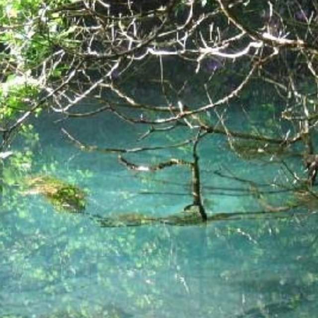 The Blue Pool Nature Trail