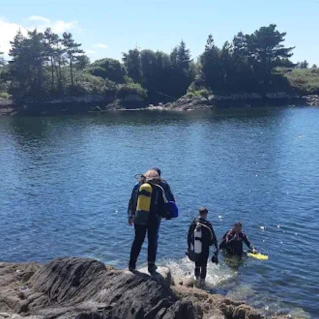 Kenmare Bay Diving