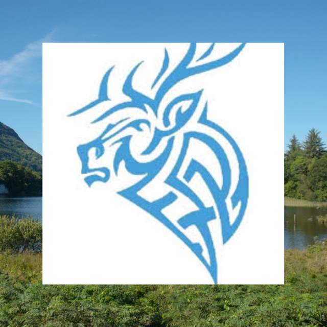 Killarney Triathlon Club