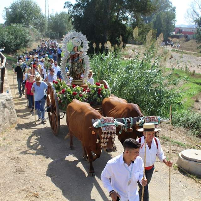 La Romería Virgen del Rosario