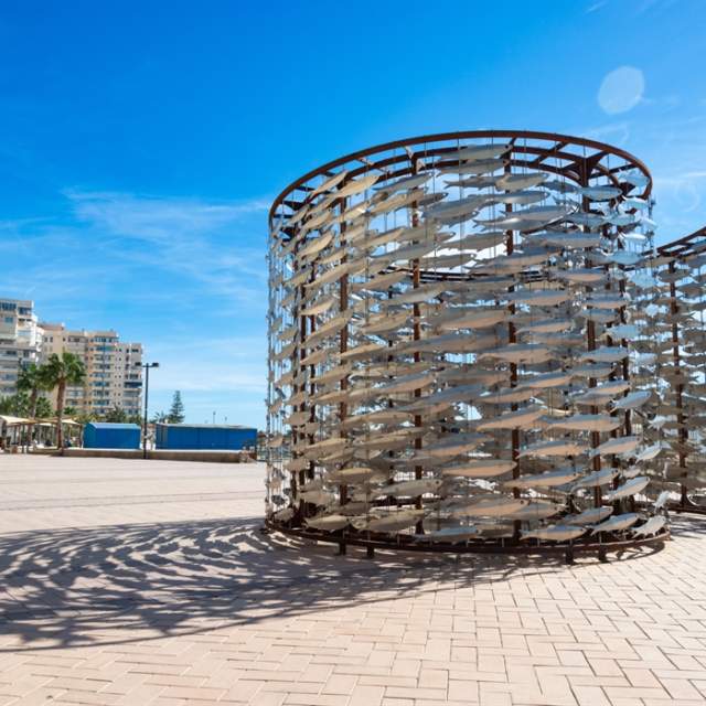 Banco de Boquerones (Tomás Castillo)