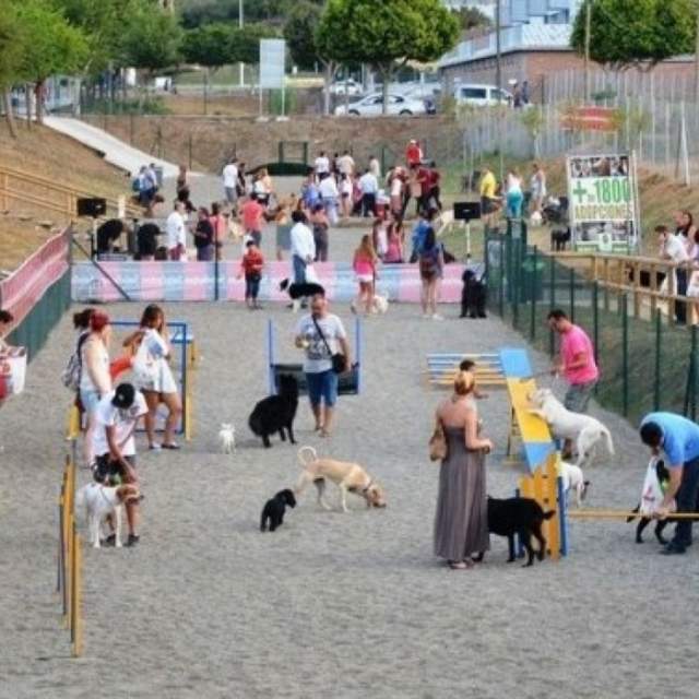 Miniparque canino