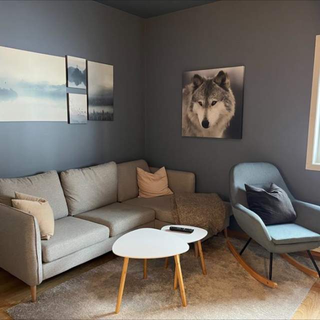 Apartment with 1 bedroom - Bortelid