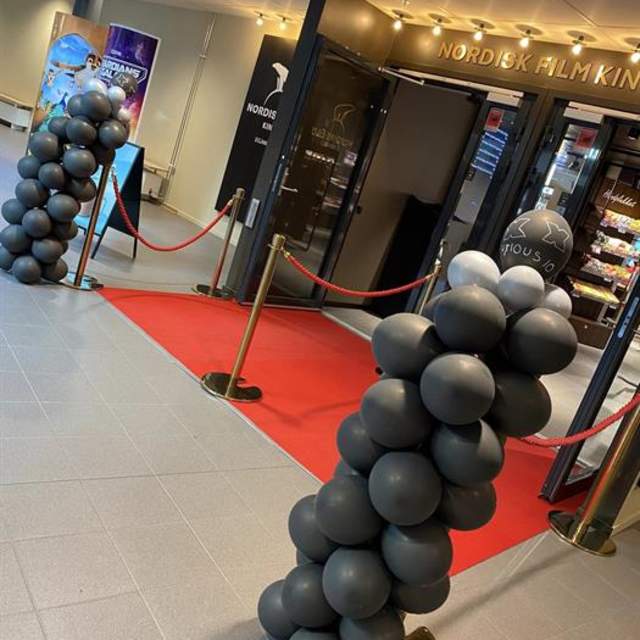 NF Kino Halden