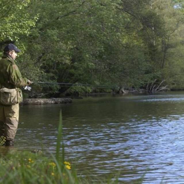 Fiske i Enningdalselven