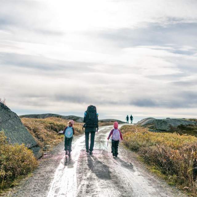 DNT Medvind - Fjellvegen til Aurlandsdalen
