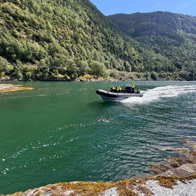 Sogndal RIB & Fjord Adventure