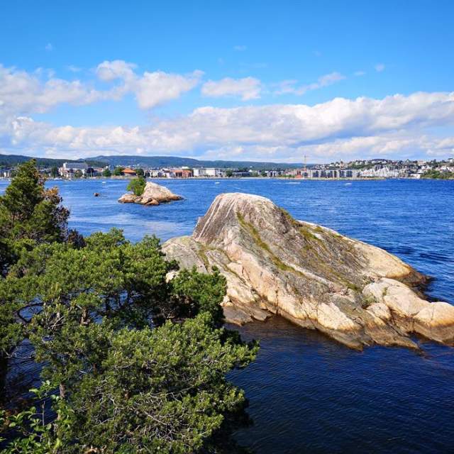 Odderøya