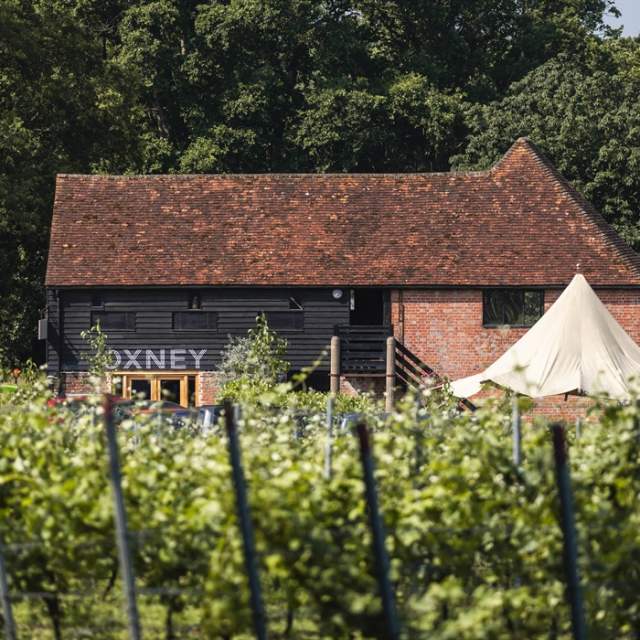 Oxney Organic Estate