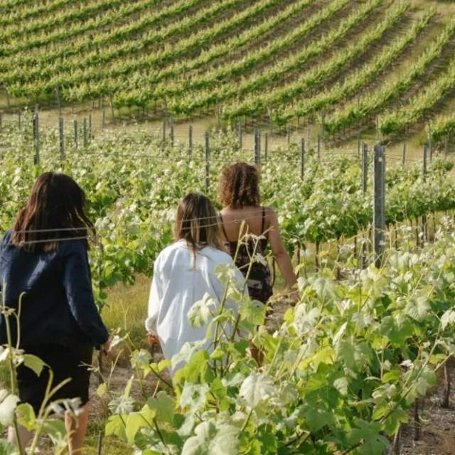 Rathfinny Wine Estate