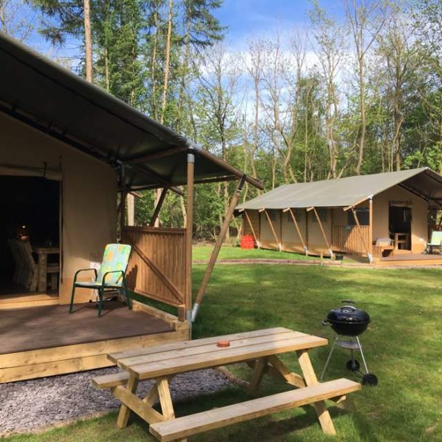 Worth Forest Glamping