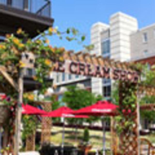 The Ice Cream Show, buy one, get one 1/2 off