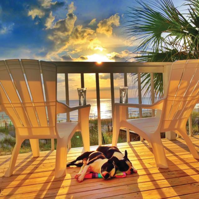 Cape Escape Vacation Rentals