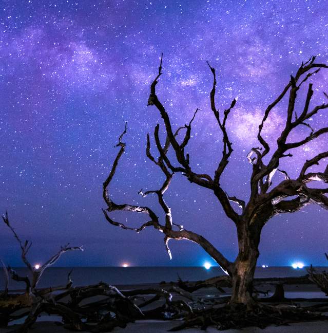 4 Top Spots for Stargazing in the Golden Isles