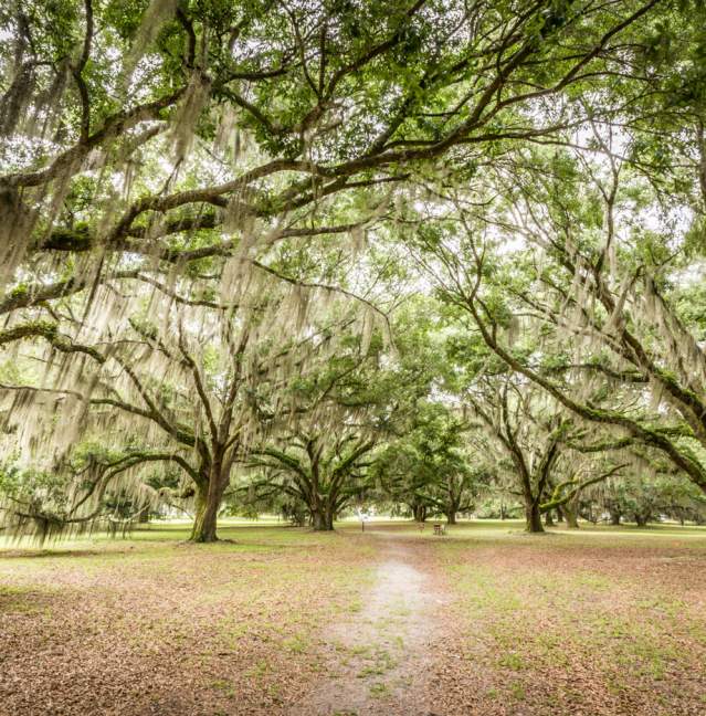 7 Sites to Honor the Golden Isles' African-American History